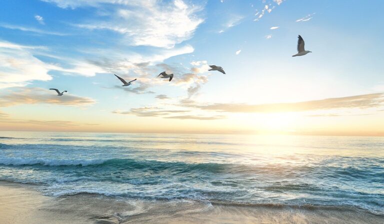 37 230 dagar – dikt till mormor Svea (svenska)