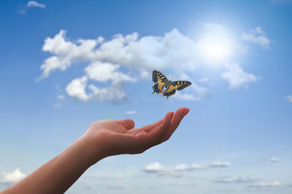 hand, butterfly, clouds-3751159.jpg