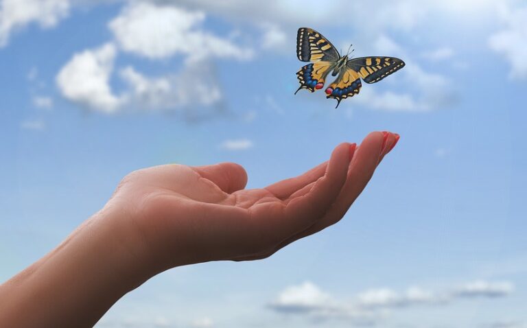hand, butterfly, clouds-3751159.jpg